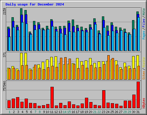 Daily usage for December 2024