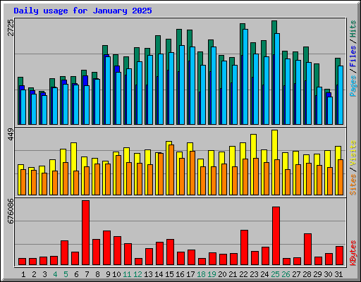 Daily usage for January 2025