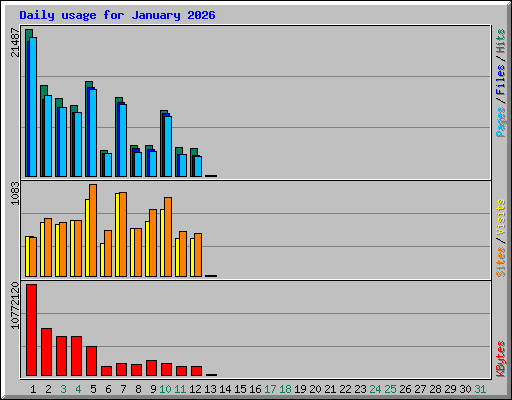 Daily usage for January 2026