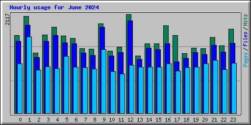 Hourly usage for June 2024