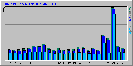 Hourly usage for August 2024