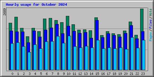 Hourly usage for October 2024