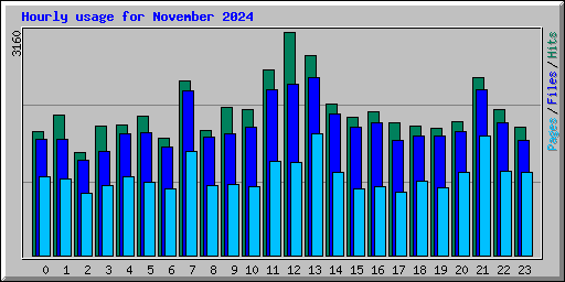 Hourly usage for November 2024