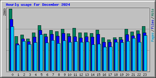 Hourly usage for December 2024