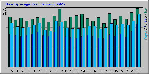 Hourly usage for January 2025