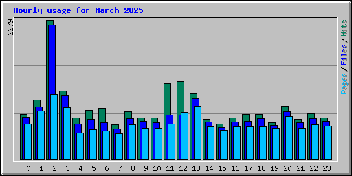 Hourly usage for March 2025