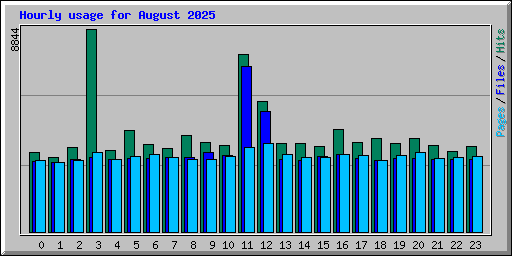 Hourly usage for August 2025