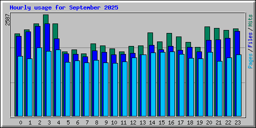 Hourly usage for September 2025