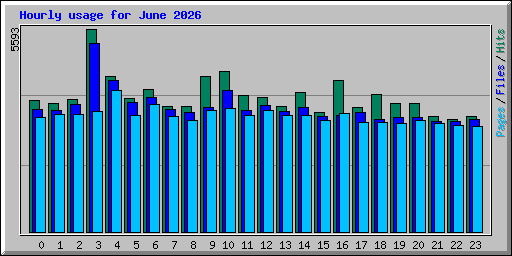 Hourly usage for June 2026