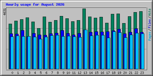 Hourly usage for August 2026